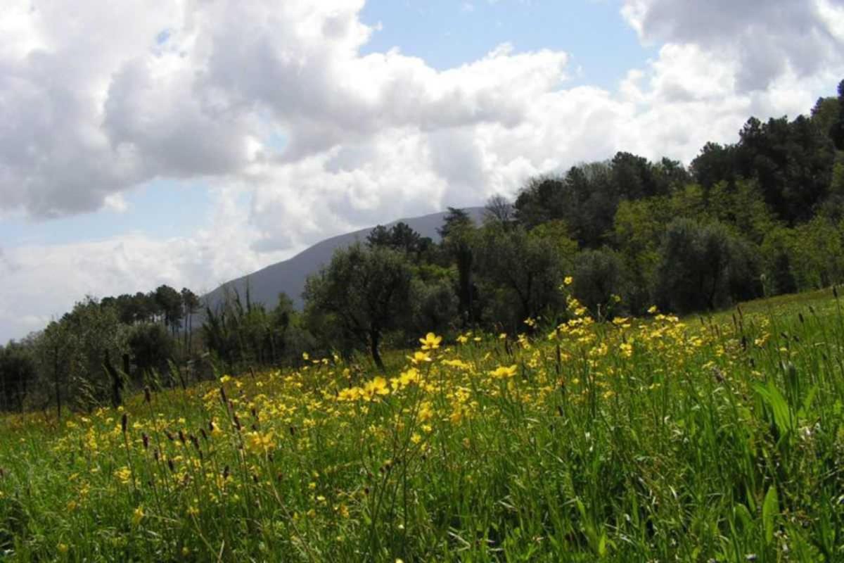A Casa Di Antonio Ξενοδοχείο Λούκα Εξωτερικό φωτογραφία